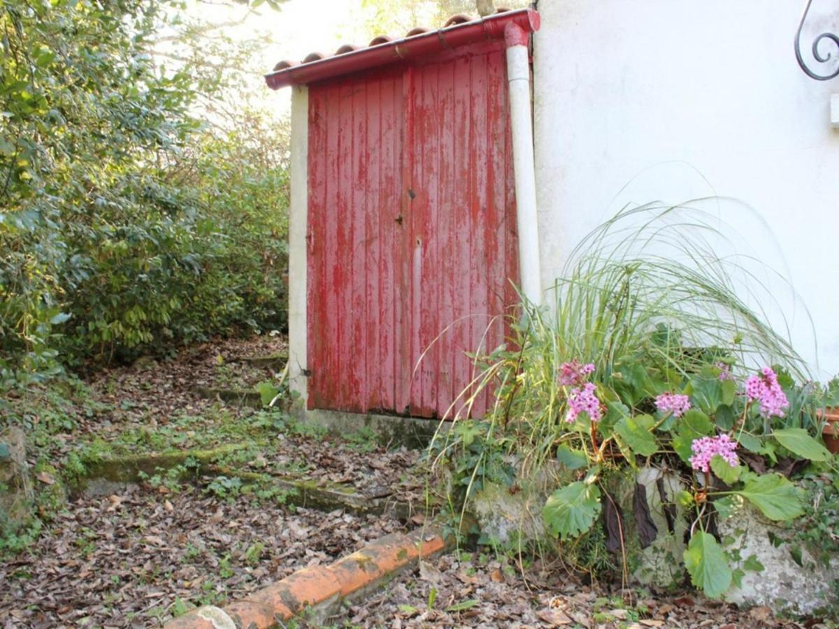 Maison 2 Pieces A Saint-Pierre-D'Oleron, 4 Couchages, Proche Plage, Grand Jardin, Veranda, Calme - Fr-1-246A-367 Vila La Cotinière Exterior foto